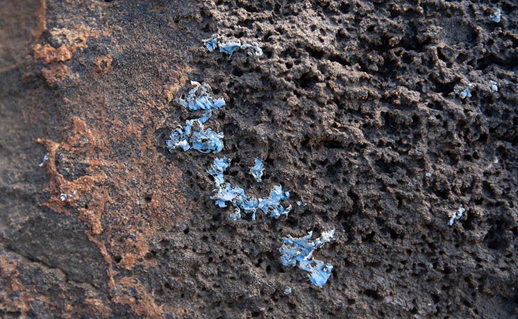 Камені на острові Мадейра виявилися покриті пластиковою кіркою. Вона швидко поширюється — і вже займає 10% площі прибережних скель!
