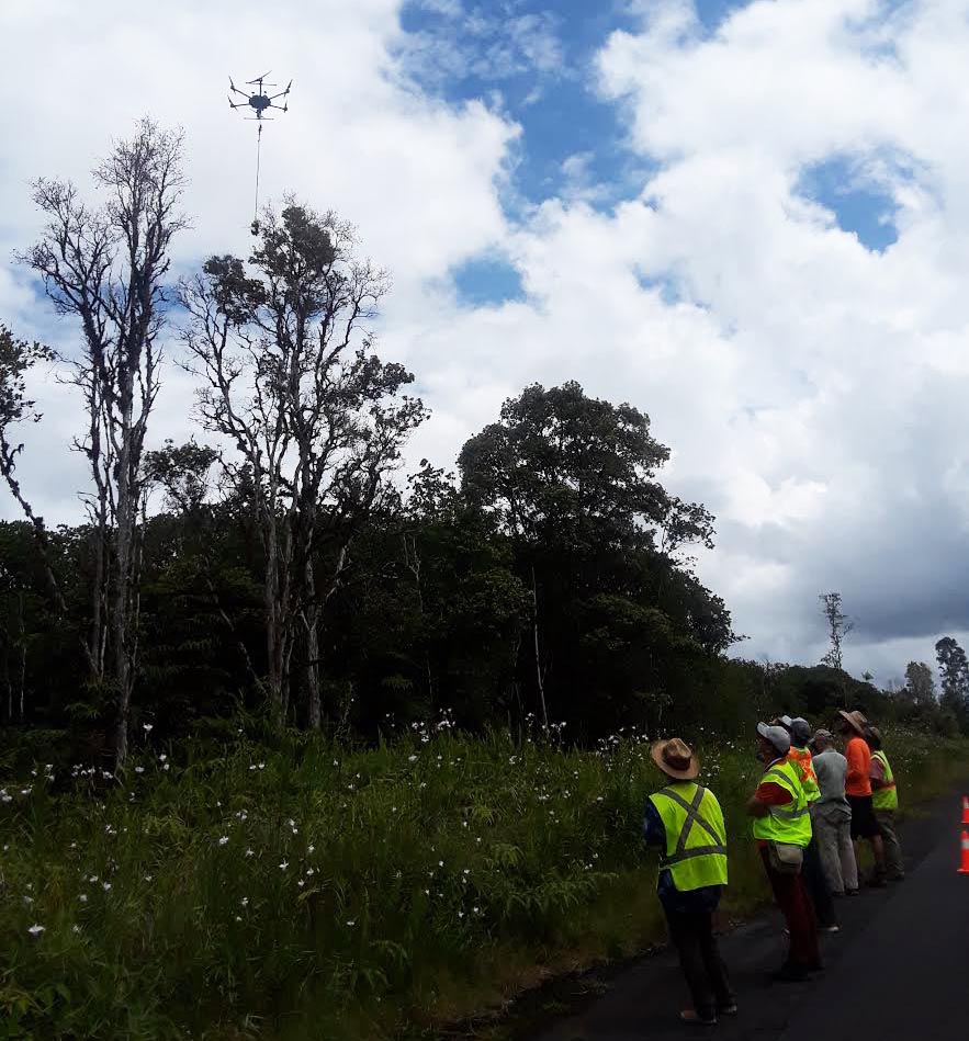 Вчені почали використовувати дрони для порятунку священних дерев ʻŌhiʻa
