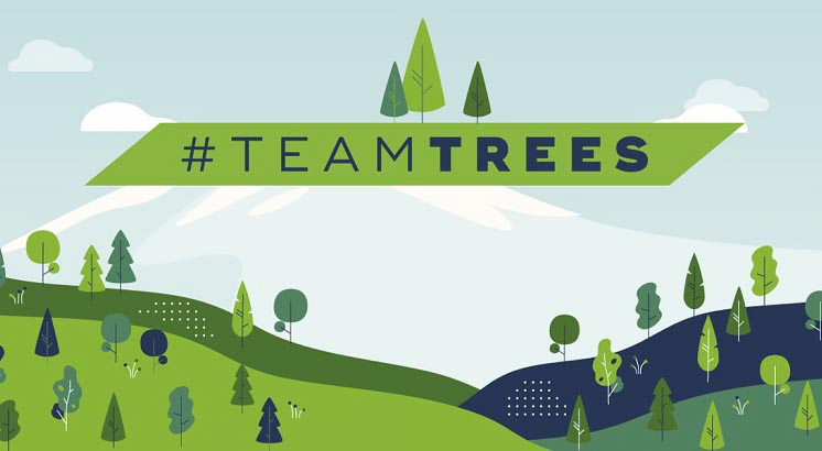 #TeamTrees - боротьба з глобальним потеплінням чи «зелена» PR-компанія для мільйонерів?