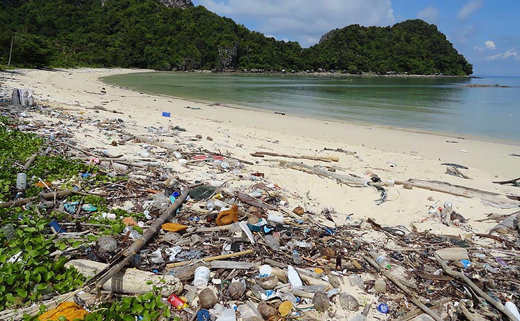 У Таїланді під заборону потрапив одноразовий пластик