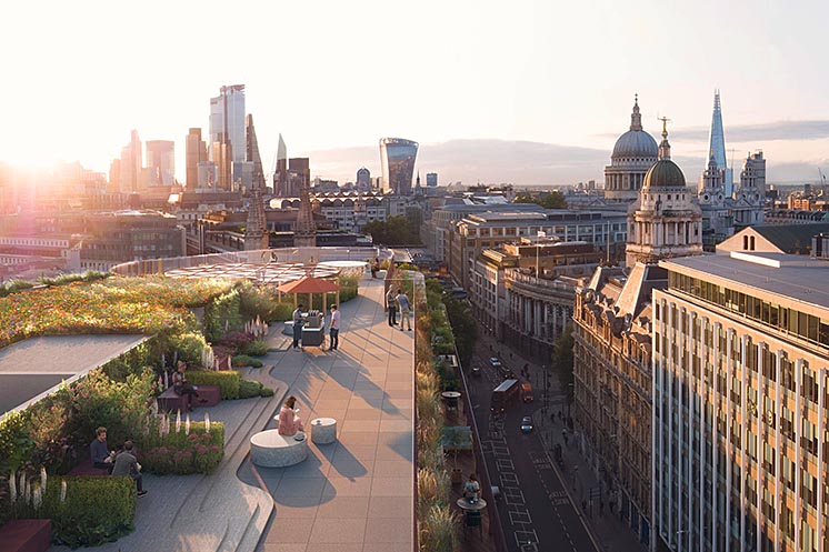 Будівлю в Лондоні перетворять на гігантську зелену клумбу