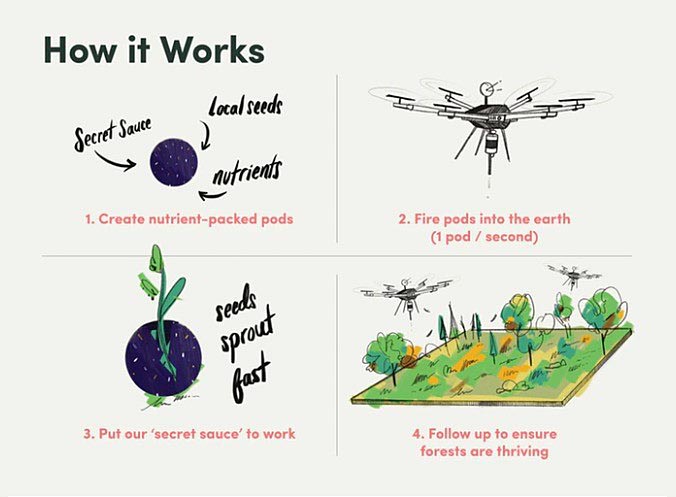 Стартап Flash Forest планує посадити 1 млрд дерев за допомогою дронів