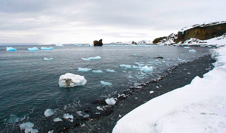 В Антарктиці — новий температурний рекорд