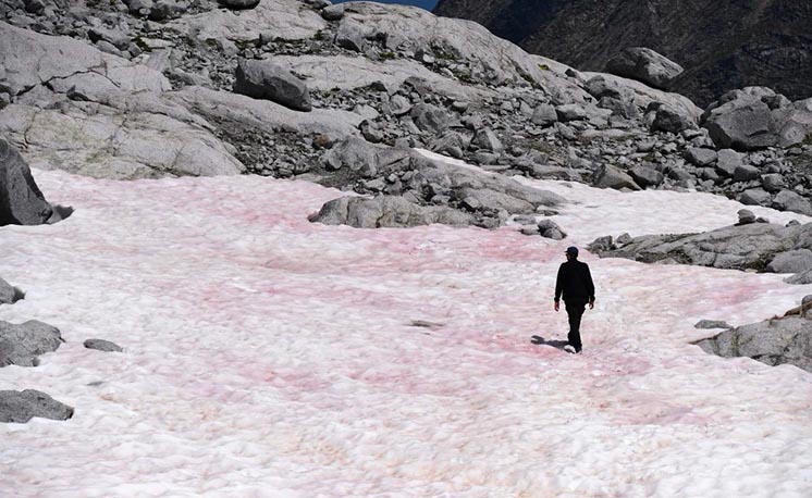 Рожевий лід в Альпах назвали маркером точки неповернення в процесі глобального потепління