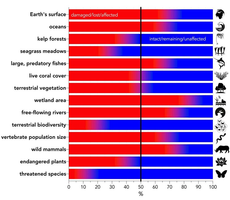 Основні категорії екологічних змін, виражених в процентному співвідношенні до базового рівня. Червоний колір вказує відсоток ушкоджень або втрати.